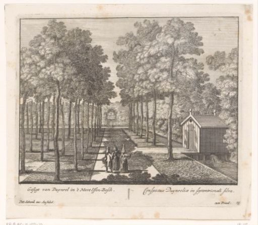View of the ash wood of the country estate Duinrell