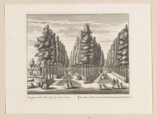 View of tree-lined avenues in the Alkmaarder Hout