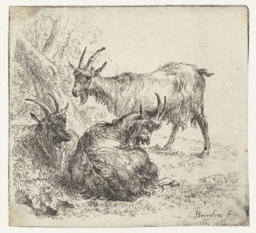 Three goats