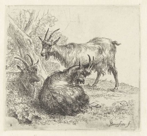 Three goats