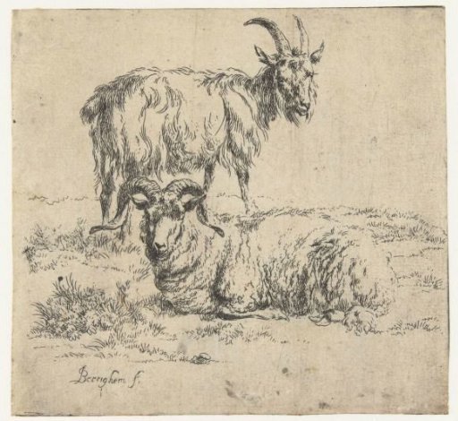 Ram and goat