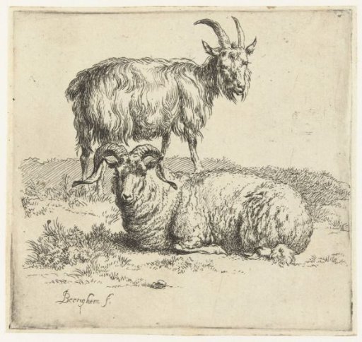 Ram and goat