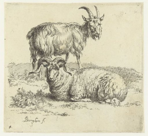Ram and goat