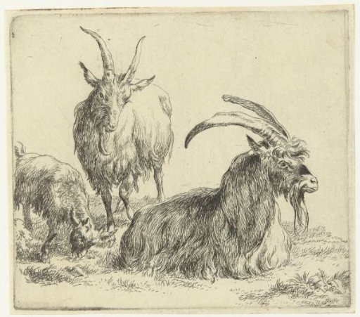 Lying buck and goat with a kid