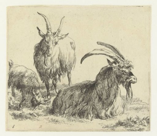 Lying buck and goat with a kid