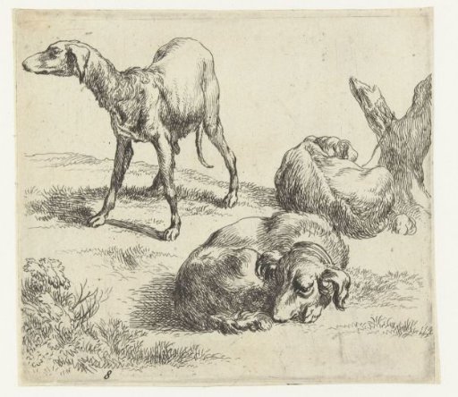 Three dogs