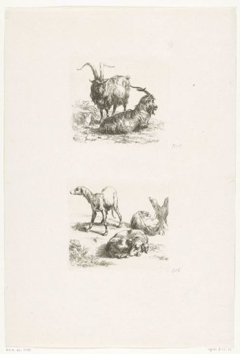 Two bucks and three dogs
