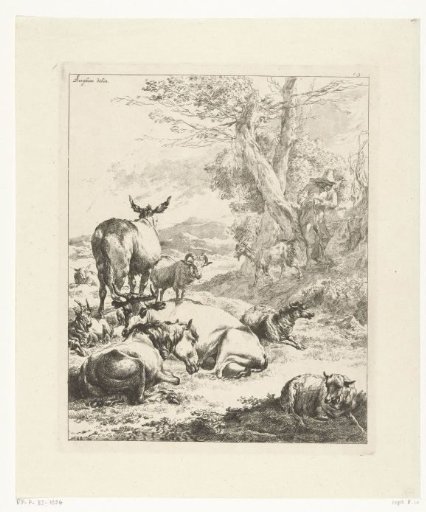 Shepherd with a resting flock