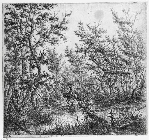 Forest landscape with a rider