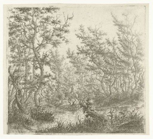 Forest landscape with a rider