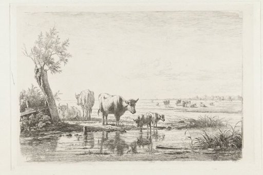 Pastoral landscape with cows by water