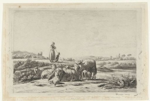 Landscape with shepherdess and dog near flock of sheep