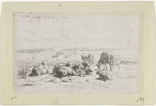 Dune landscape with sheep