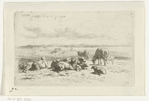 Dune landscape with sheep