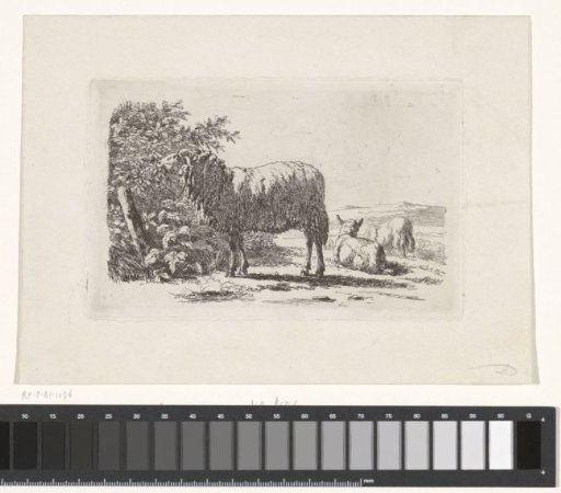 Landscape with Three Sheep