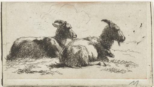 Two reclining goats