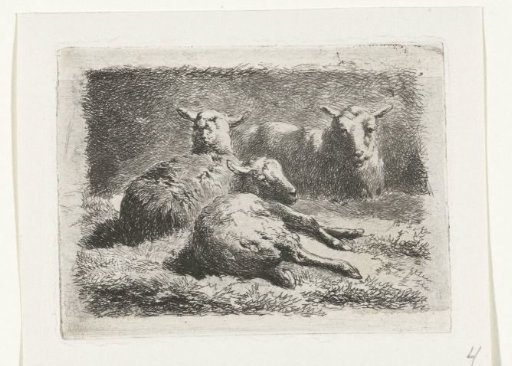 Three reclining sheep