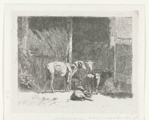 Sheep and lambs and a reclining buck near stable