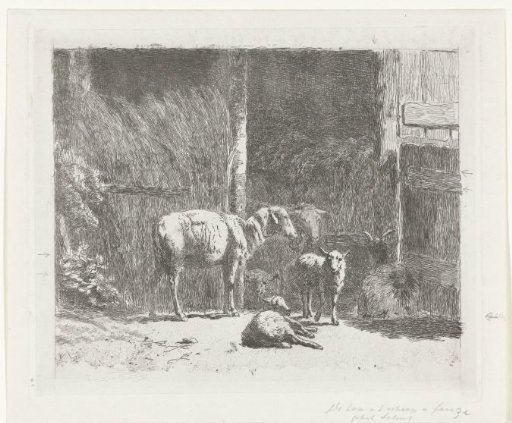 Sheep and lambs and a reclining buck near stable