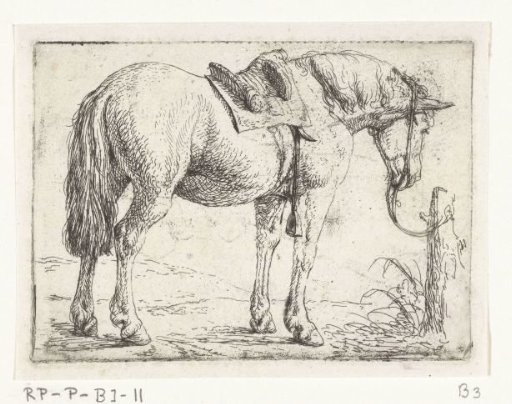 Horse with saddle