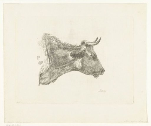 Cow's Head with Blade of Grass in Mouth