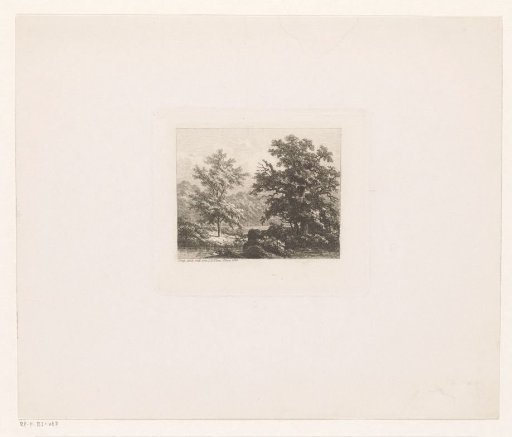 Wooded Landscape with a Water Feature on the Left in Front of a Single Tree