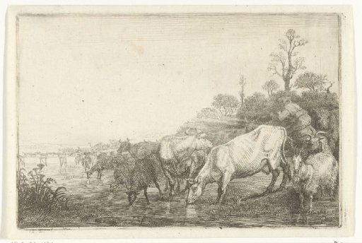 Herd by a Stream