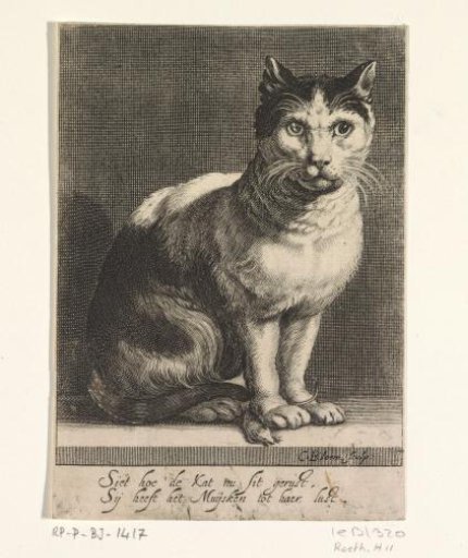Cat with mouse