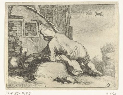Boy playing with cat