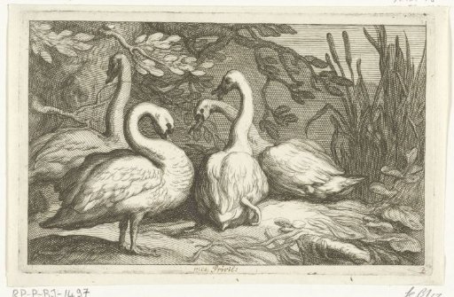 Four swans