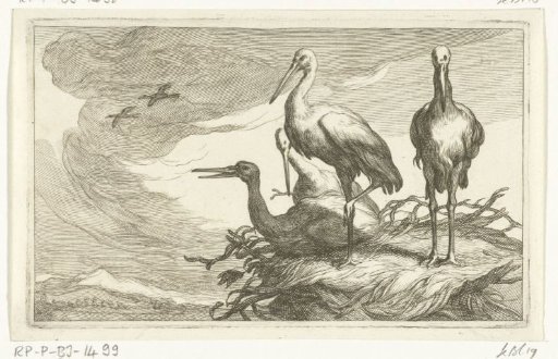 Storks in a nest