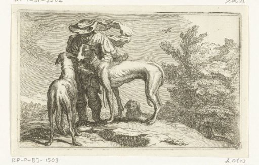 Greyhounds