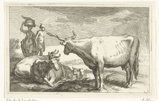 Cows