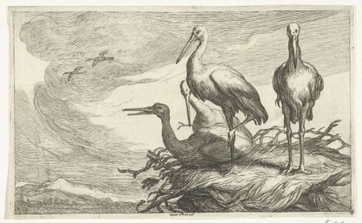 Storks in a nest