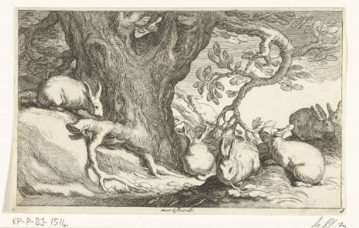 Rabbits