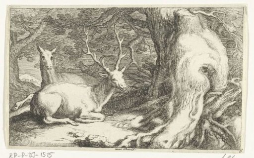Deer