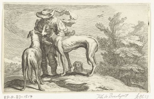 Greyhounds