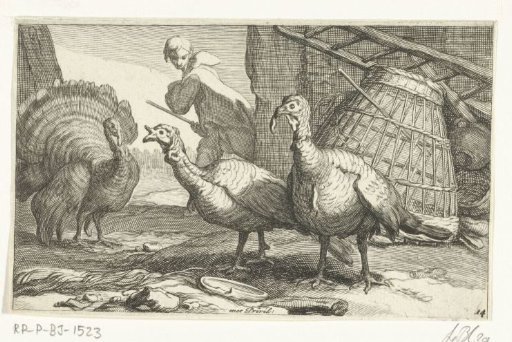 Turkeys