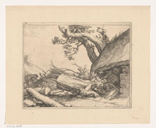 Pruning trees