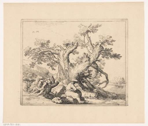 View with a gnarled tree