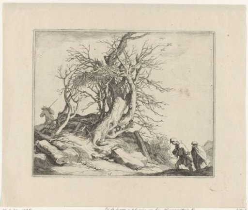 View of a leafless tree
