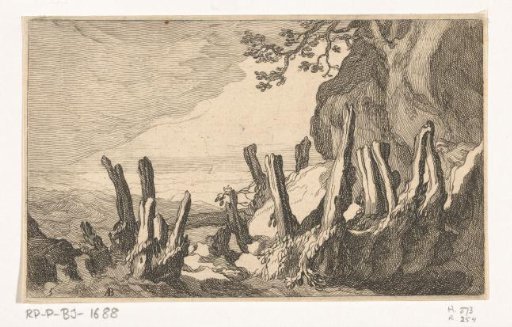 Coastal landscape