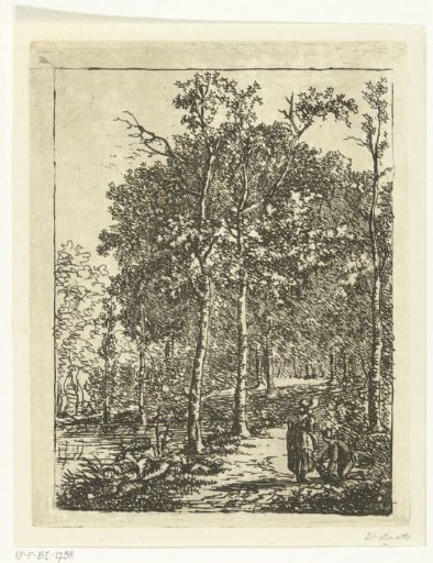 View in the Hague Forest