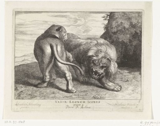 Lion and lioness