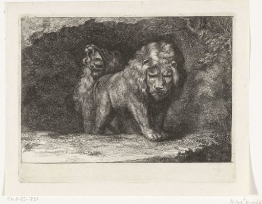 Two lions at the entrance to their den