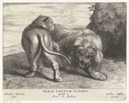 Lion and lioness