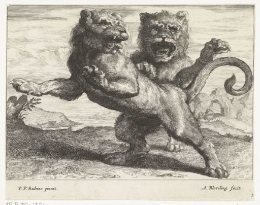 Two roaring lions