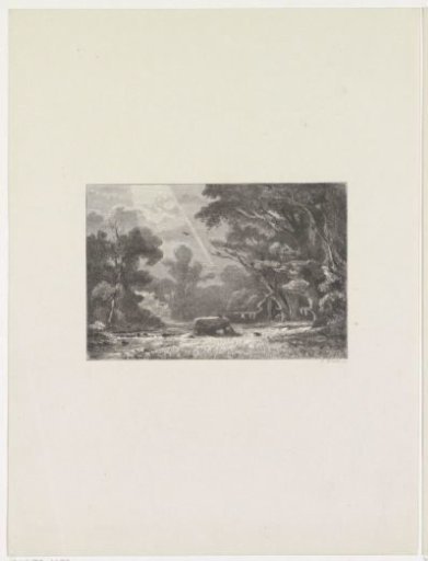 Brook with birds along an open field near a wood