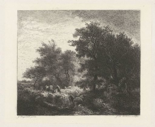 Woodland View