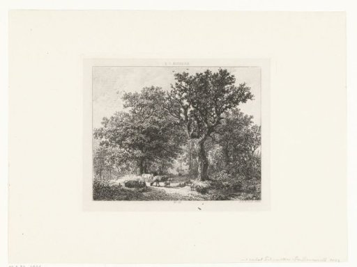 Woodland View with Cattle